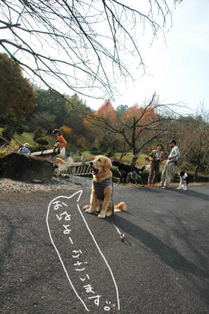 f0044853_14341422.jpg