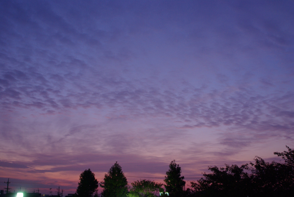 f0176353_1736565.jpg