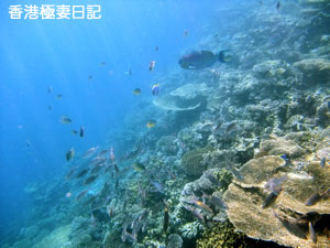 f0190653_11332621.jpg