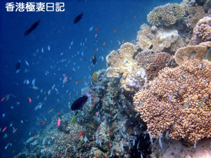f0190653_11341887.jpg
