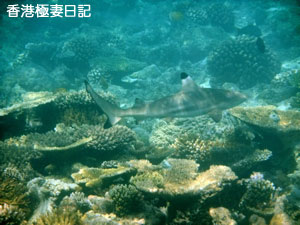 f0190653_11343399.jpg