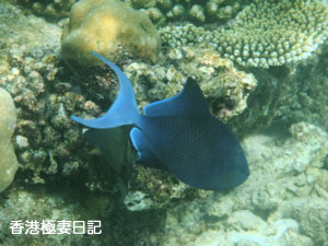 f0190653_11353595.jpg