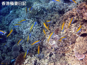 f0190653_11373586.jpg