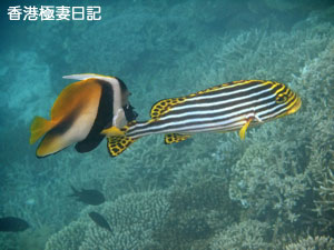 f0190653_11381766.jpg