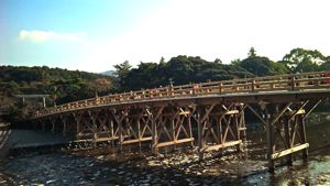 f0000655_1113054.jpg