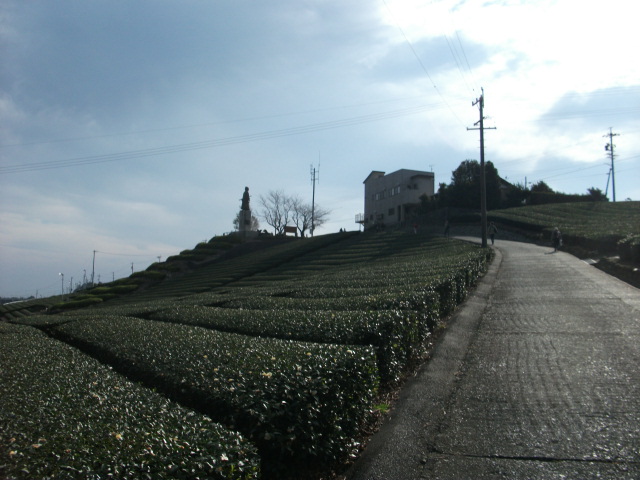 c0228357_20132651.jpg