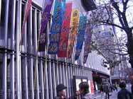 e0149157_74421.jpg