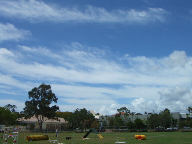 e0171460_5461928.jpg