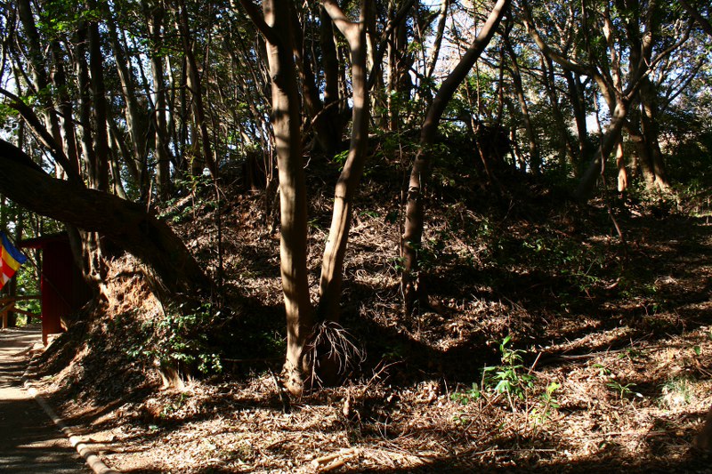 d0079764_935583.jpg