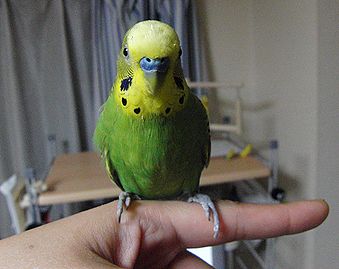 f0196665_23462567.jpg