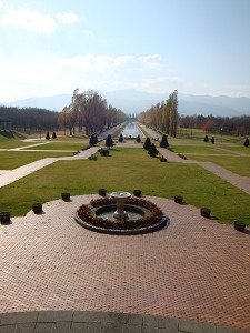 c0196468_1712458.jpg
