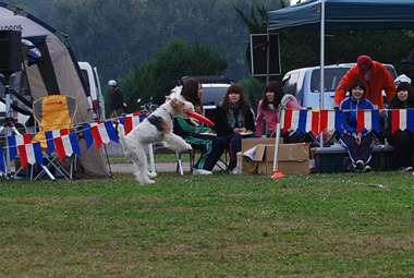b0091373_1710581.jpg