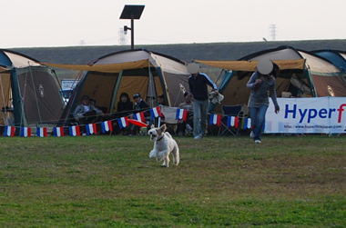 b0091373_17142013.jpg