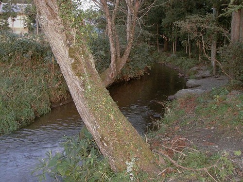 e0004173_17585956.jpg