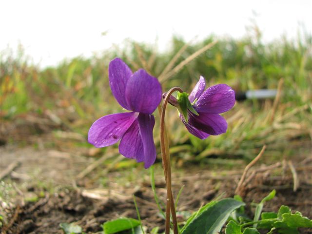 f0174373_1330323.jpg