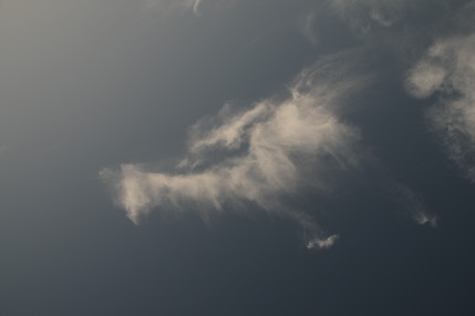 e0066474_4593867.jpg