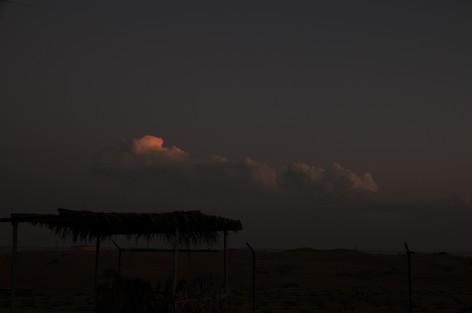 e0066474_520841.jpg