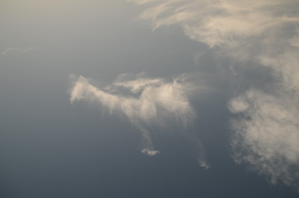 e0066474_535239.jpg