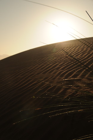 e0066474_559442.jpg