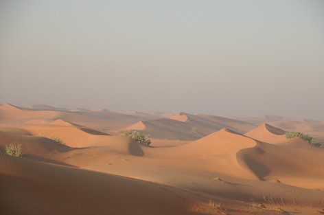 e0066474_66536.jpg