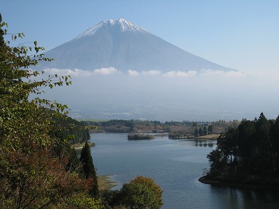 a0038882_1059869.jpg