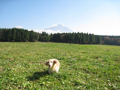 a0038882_11104623.jpg
