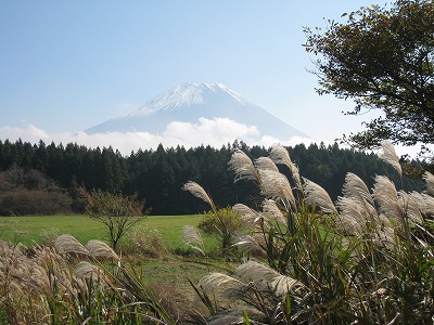 a0038882_1144984.jpg