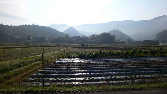 b0042882_1551497.jpg