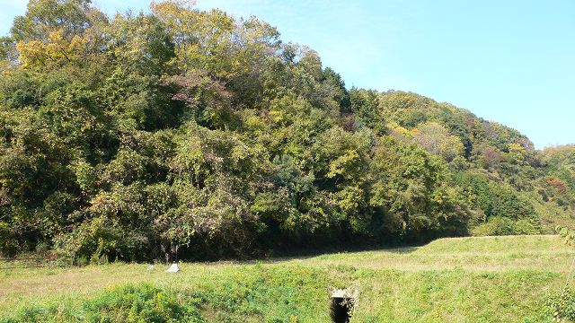b0042882_1595843.jpg