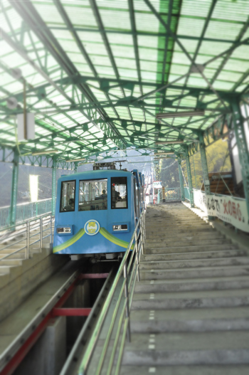 c0187782_1746527.jpg