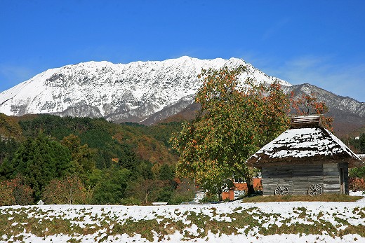 e0190885_20455665.jpg