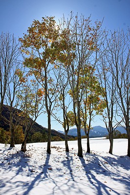 e0190885_2048331.jpg