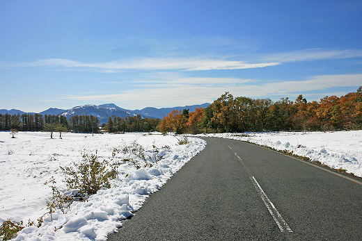 e0190885_20495012.jpg