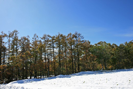 e0190885_20495836.jpg