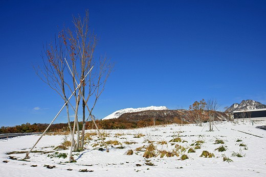 e0190885_20501020.jpg