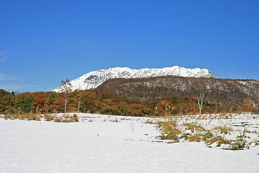 e0190885_20503051.jpg