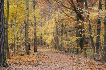 c0180686_735547.jpg