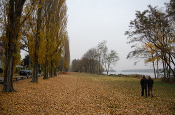c0180686_7551851.jpg