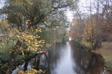 c0180686_895717.jpg