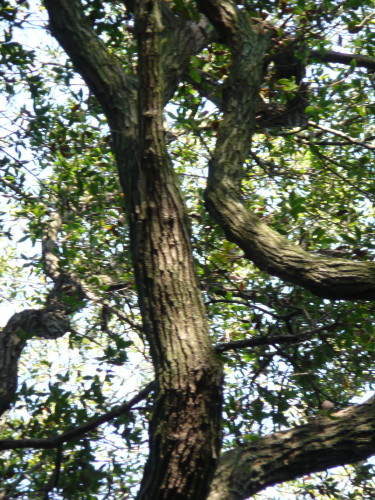 b0118987_6211662.jpg