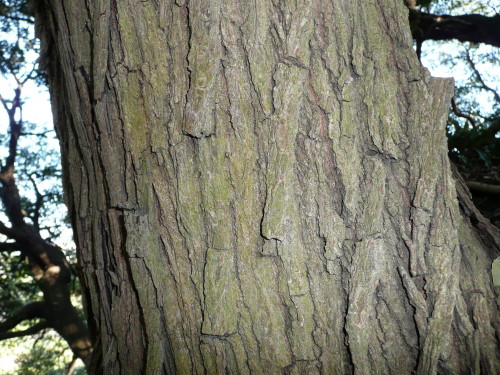 b0118987_6212971.jpg
