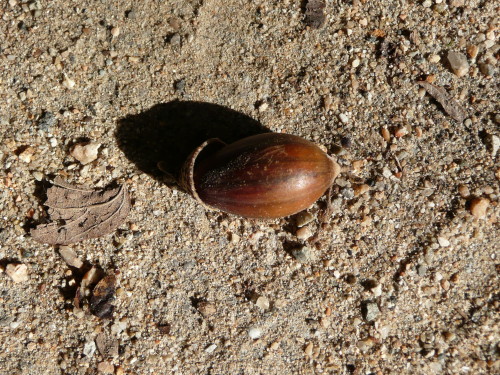 b0118987_6215558.jpg