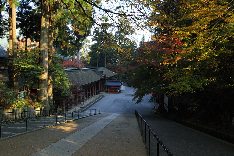 e0051888_21565823.jpg