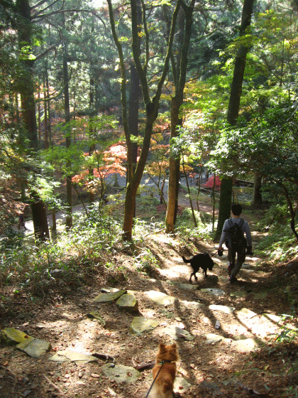 c0171790_14231332.gif