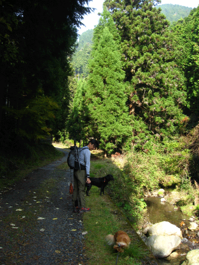 c0171790_2219390.gif