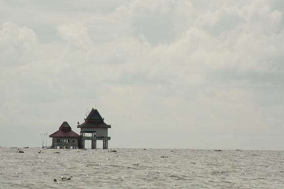 e0164690_2215719.jpg