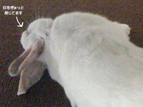 f0201191_12465537.jpg