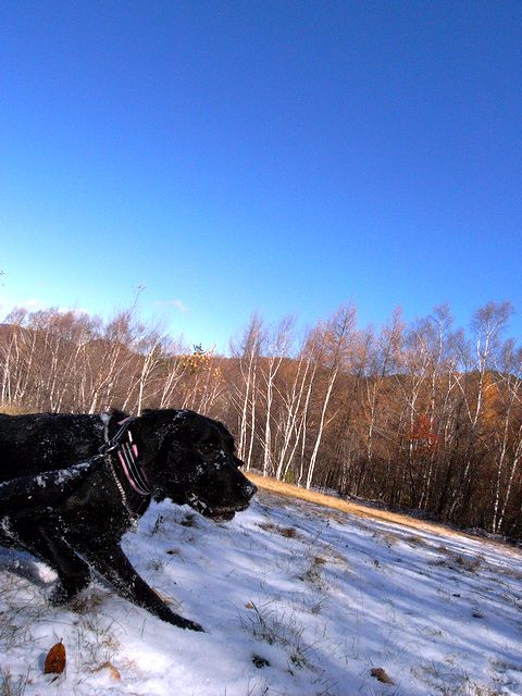 a0093592_031268.jpg