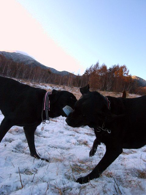 a0093592_06495.jpg
