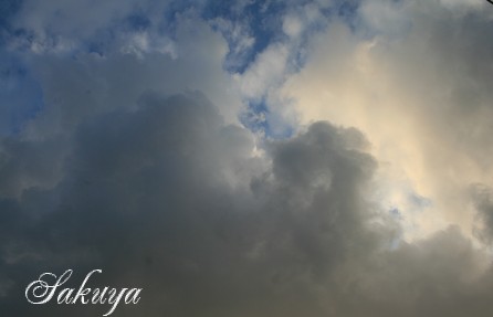 e0122194_134377.jpg